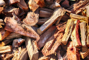 Eucalyptus firewood
