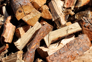Pine firewood