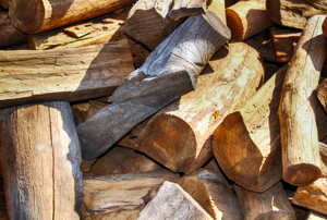 Pinyon Pine firewood